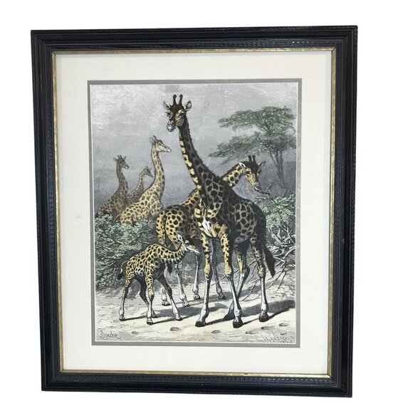 VTG Friedrich Specht "Giraffe" Late 19th Century Woodcut Art Jungle Multi-color - Picture 6 of 12